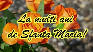 Felicitări de Sf. Maria Mică 2023. Mesaje și felicitări superbe pentru sărbătoriții zilei.