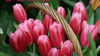 Urări de Sf. Maria Mică 2023. Mesaje, felicitări și imagini cu text pentru sărbătoriți