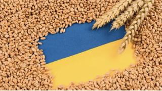 Președintele Klaus Iohannis a declarat că Rom&acirc;nia asigură principala rută pentru exportul cerealelor ucrainene.