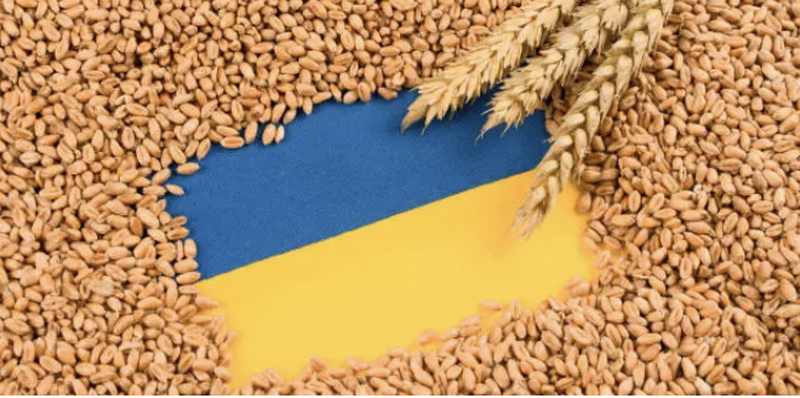 Președintele Klaus Iohannis a declarat că România asigură principala rută pentru exportul cerealelor ucrainene.