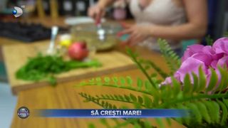 VIDEO - Rubrica de gătit cu Alina Laufer: Rețeță delicioasă de salată de vinete cu accent oriental