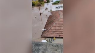 Inundațiile au făcut ravagii în Grecia. Un câine rămas singur pe acoperișul unei case așteaptă să fie salvat