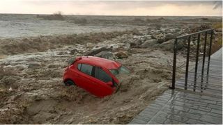 Inundațiile au făcut ravagii în Grecia. Un câine rămas singur pe acoperișul unei case așteaptă să fie salvat