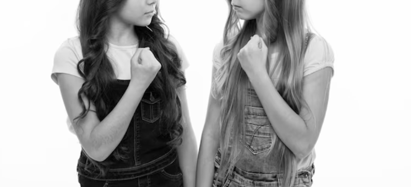 Conflictul a avut loc în Hunedoara, iar după altercație, minorele au ajuns la poliție.