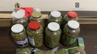 O plantație de cannabis &icirc;n curtea locuinței și suspectarea de trafic de droguri au condus la arestarea preventivă a unui bărbat din Timișoara.