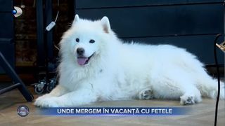 VIDEO - Unde mergem în city break cu prietenele? Napoli este orașul perfect pentru o vacanță cu fetele