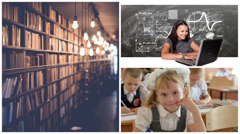 La universitatea Rutgers de exemplu, universitate de stat, se cheltuiește imens nu doar pe resurse pentru cercetare și predare, ci și pentru sport, unde s-au pierdut peste un sfert de miliard de dolari.