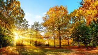 Rom&acirc;nia nu scapă de căldură! Cum va fi vremea &icirc;n perioada 11 - 24 septembrie 2023? Temperaturile de vară se mențin și ajung la peste 30 de grade Celsius