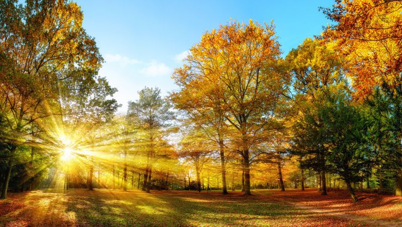 România nu scapă de căldură! Cum va fi vremea în perioada 11 - 24 septembrie 2023? Temperaturile de vară se mențin și ajung la peste 30 de grade Celsius