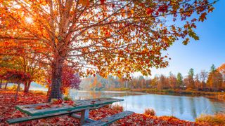 Vara nu pleacă din Rom&acirc;nia. Prognoza meteo pentru următoarele săptăm&acirc;ni