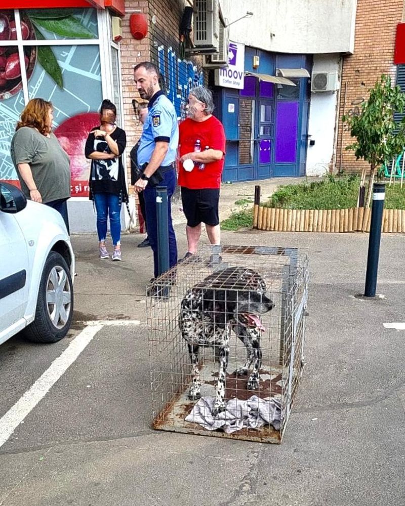 Două persoane au fost atacate de un câine lăsat liber pe stradă în sectorul 6, duminică, 10 septembrie.