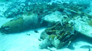 Epava avionului, recuperată în 2011