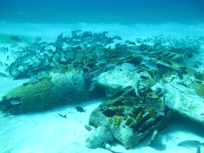 Epava avionului, recuperată în 2011