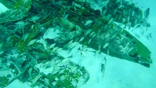 Epava avionului, recuperată în 2011