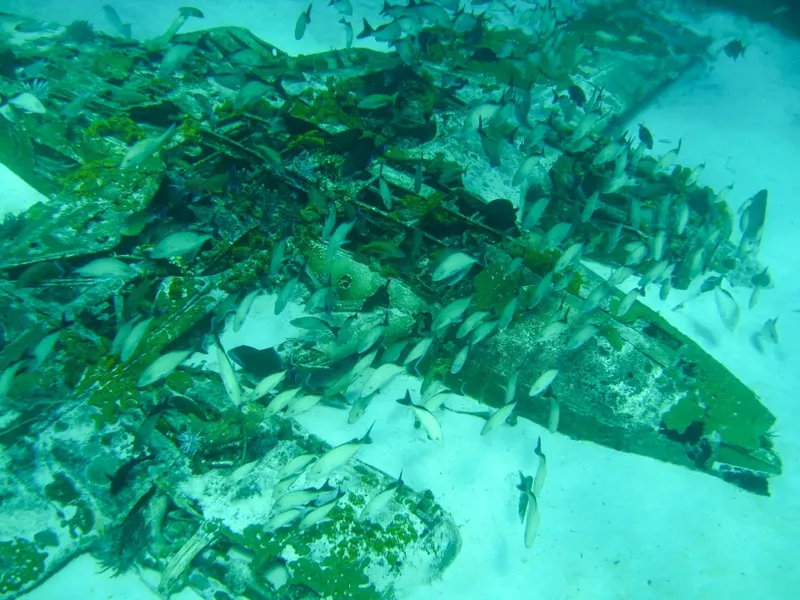 Epava avionului, recuperată în 2011