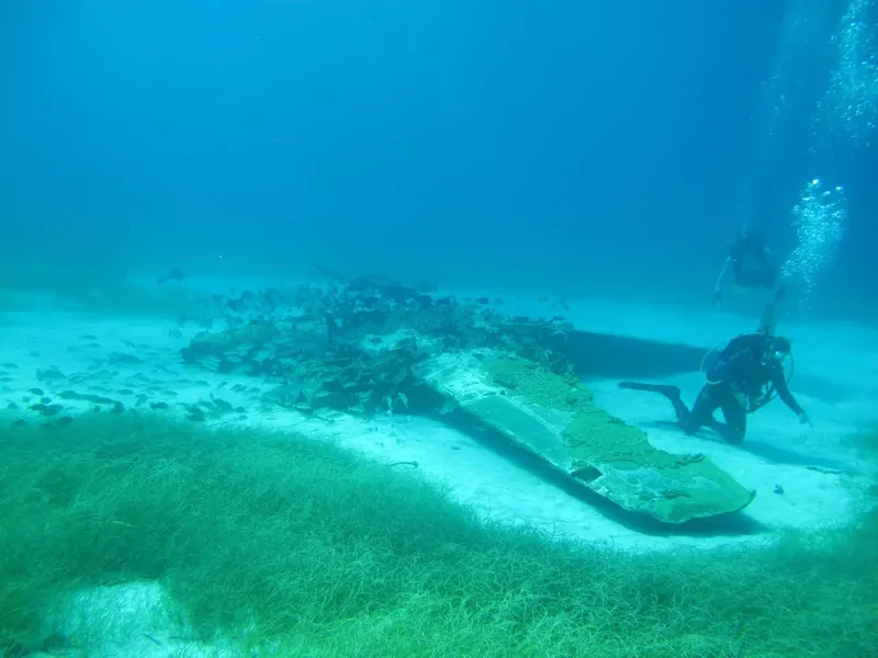 Epava avionului, recuperată în 2011