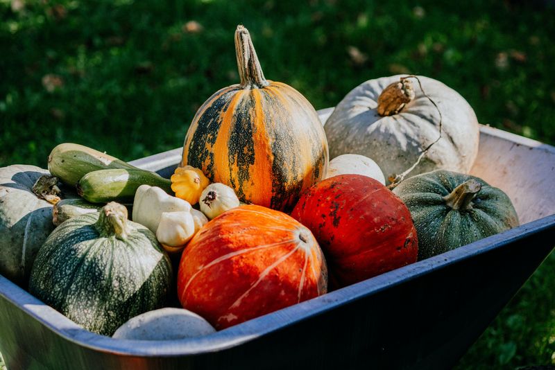 Alimente pe care trebuie să le consumi în această toamnă pentru a avea o imunitate de fier