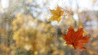 Prognoza meteo, joi 14 septembrie 2023. Toamna își intră în drepturi. Temperaturile vor scădea