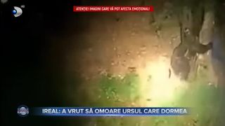 VIDEO- Ireal- A vrut să omoare ursul care dormea. Inconștiența îl putea ucide