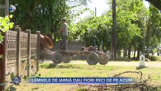 VIDEO - Lemnele de iarnă dau fiori reci rom&acirc;nilor. Banii puțini abia le permit oamenilor să cumpere o brumă de lemne