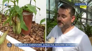 VIDEO - Plantele carnivore, atracția Grădinii Botanice din Cluj-Napoca. Oamenii pot vizita cele mai spectaculoase plante care cresc &icirc;n zonele tropicale