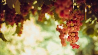 Echinocțiu de toamnă 2023. Tradiții pentru această dată