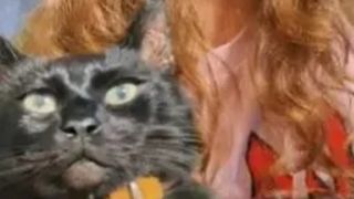 O femeie a găsit o metodă bizară pentru a avea aceeași pisică pentru totdeauna. Felina a murit și acum proprietara o păstrează pe noptieră. Cum a fost posibil?