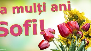 Sf. Sofia 2023: Pe ce dată se sărbătorește? Idei de mesaje cu ”La mulți ani”