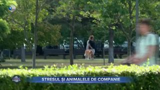 VIDEO - Stresul și animalele de companie. Veterinarii ne sfătuiesc să acordăm suficient timp pentru ca nevuc&acirc;ntătoarele să se dezvolte armonios