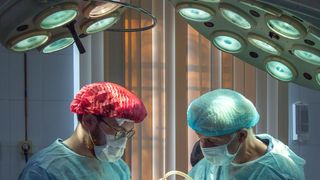 Oamenii de știință au dat lovitura. Un rinichi de porc a funcționat normal în corpul unui pacient timp de două luni: „Este o reușită istorică”