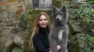 O femeie și-a inventat propria rasă de câine lup, după încercări eșuate de a-și găsi animalul de companie perfect