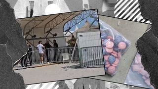 VIDEO- 32 De tineri drogați prinși la festival. Aceștia s-au ales cu dosar penal