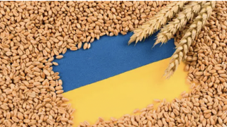 Rom&acirc;nia va importa cereale din Ucraina, &icirc;n urma ridicării interdicției &icirc;n acest sens. Care sunt condițiile impuse