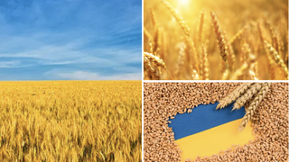România va importa cereale din Ucraina, în urma ridicării interdicției în acest sens. Care sunt condițiile impuse