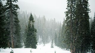 Când se dă drumul la căldură în București. Ce iarnă ne așteaptă anul acesta