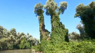 Uitați dintotdeauna la marginea civilizației, localnicii au ajuns &icirc;n c&acirc;teva zile personaje principale &icirc;n jurnalele de știri din toata Europa. 