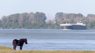 Războiul din vecini și dronele rusești tulbură liniștea și ridică praful gros de pe ulițele satelor de la Dunăre.