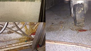  Pescobar spune contrariul: "Nu este &icirc;nchis restaurantul din Herăstrău, este foarte deschis"