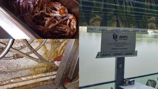  Pescobar spune contrariul: "Nu este &icirc;nchis restaurantul din Herăstrău, este foarte deschis"