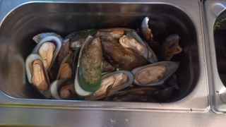 VIDEO/FOTO- Restaurantul lui Pescobar, din Herăstrău, închis temporar de CRPCR. Pescobar spune contrariul: "Nu este închis restaurantul din Herăstrău, este foarte deschis"