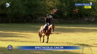 VIDEO - Spectacolul cailor pe domeniul Cantacuzino. Peste 150 de cai vor lua parte la competiţii ecvestre dinamice