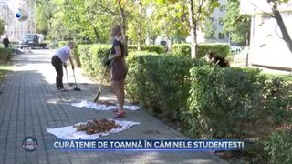 VIDEO - Curățenia de toamnă a început în cămine. Studenții dau cu var, vopsesc și recondiționează mobilierul vechi din camere