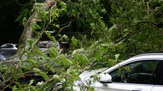 De ce este indicat să apelezi la un serviciu de asistență la daună atunci c&acirc;nd &icirc;ncasezi o asigurare. Sfaturi de la specialiști 