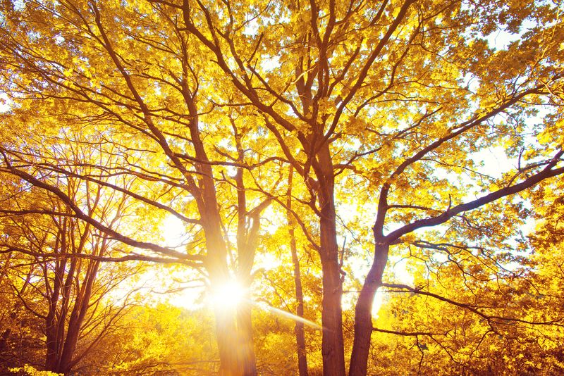 Cum va fi vremea în perioada 25 septembrie - 8 octombrie 2023? Vremea frumoasă se menține. Prognoza meteo completă