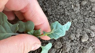 Per ansamblu, fermierii spun că anul acesta a fost foarte dificil pentru ei.