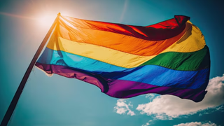 Rom&acirc;nia a făcut contestație &icirc;n urmă cu c&acirc;teva luni, către CEDO, prin care respingea recunoașterea căsătoriilor &icirc;ntre persoanele de același sex.