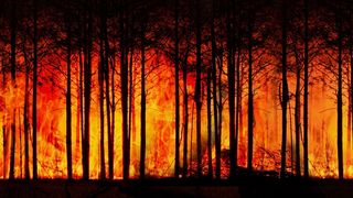 Pământul ar deveni atât de fierbinte încât doar 8% până la 16% din supercontinentul ar fi locuibil.