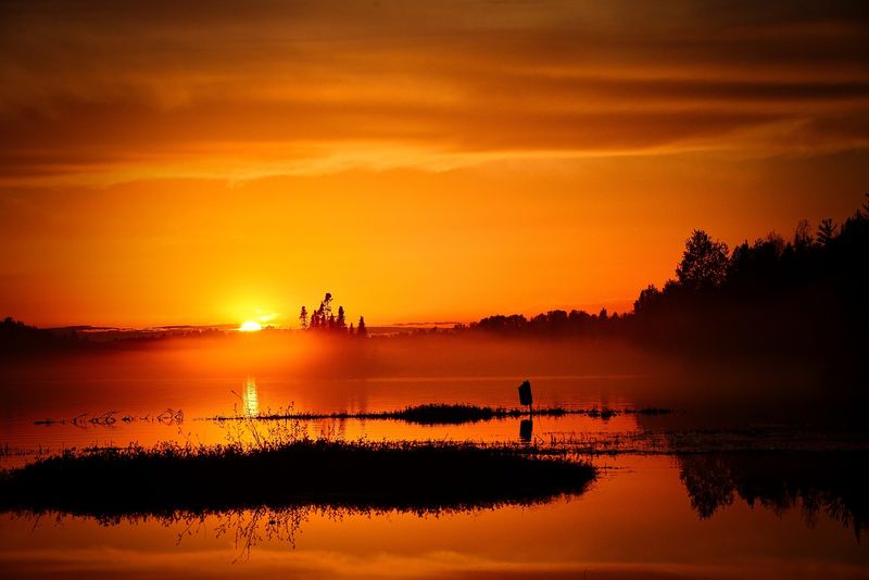 Planeta s-ar încălzi atât de mult încât multe mamifere nu ar mai putea supraviețui, iar continentele Pământului ar fuziona pentru a forma un supercontinent fierbinte, uscat și nelocuibil. 