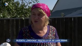 VIDEO- Buzatu „ordona” peștelui să se lase prins. Drumuri de mântuială în județ, avere colosală în buzunare
