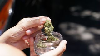 Canabisul recreațional este legal în California din 2016, iar achizițiile se fac prin intermediul farmaciilor, produsele fiind în general fumate în clădiri private sau în aer liber.